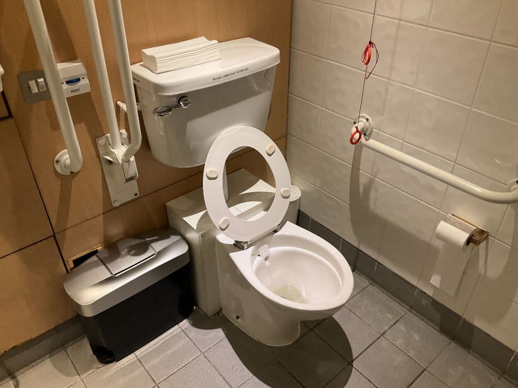 WC pan - accessible