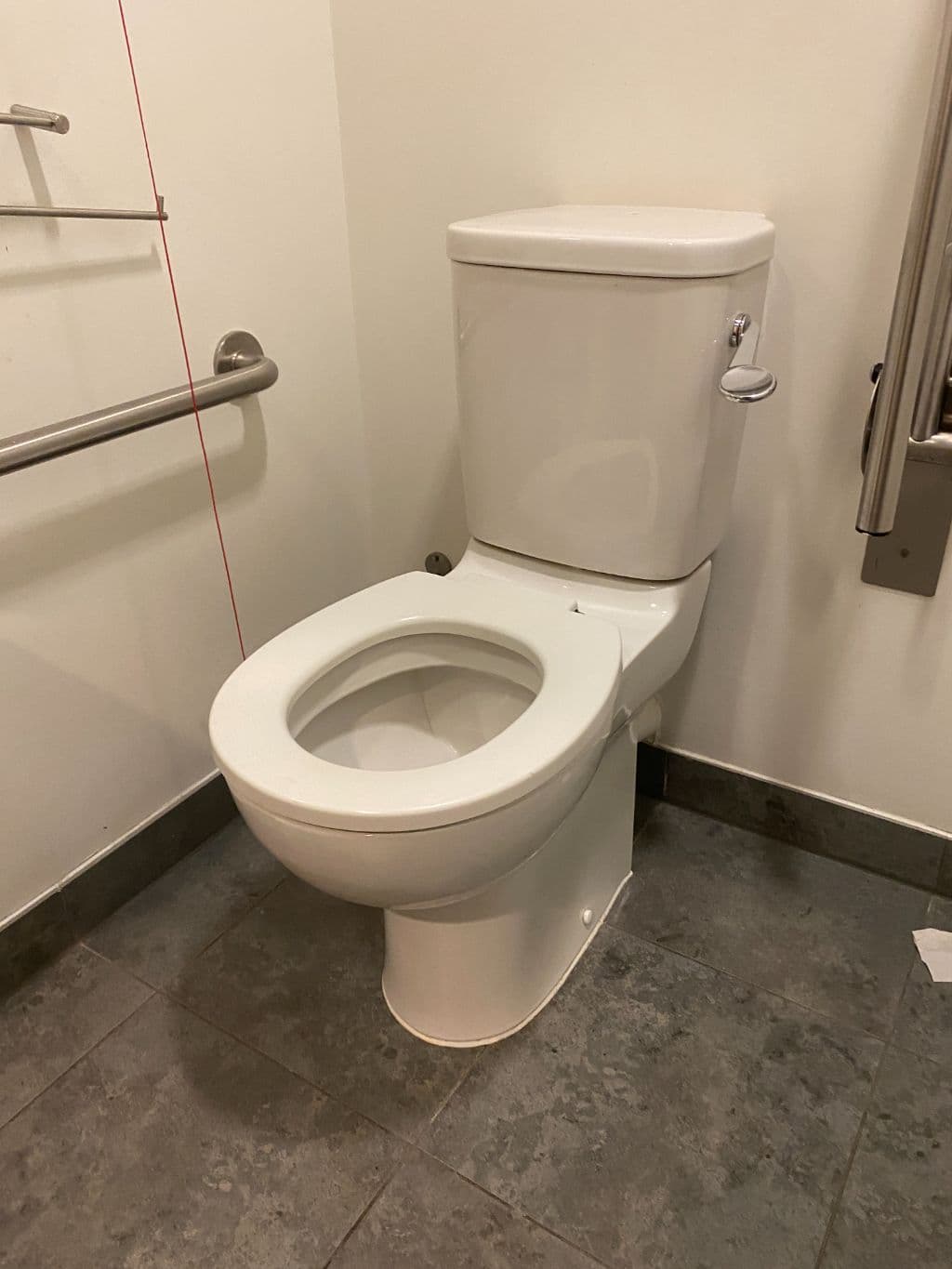 WC pans - accessible